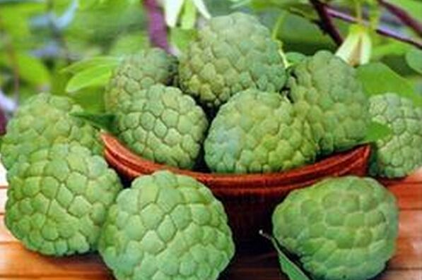 番荔枝学名叫什么,番荔枝是什么属性