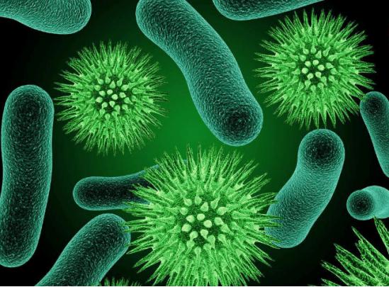 出门后回家应该怎么消毒,菊花的卫生怎么注意