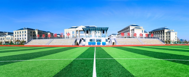 王健林懂足球吗,巩汉林懂足球吗