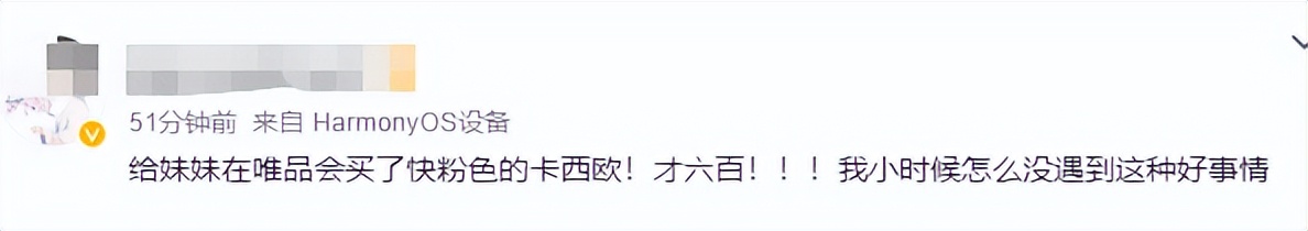 唯品会与别的购物app有什么不同,唯品会类似的购物平台