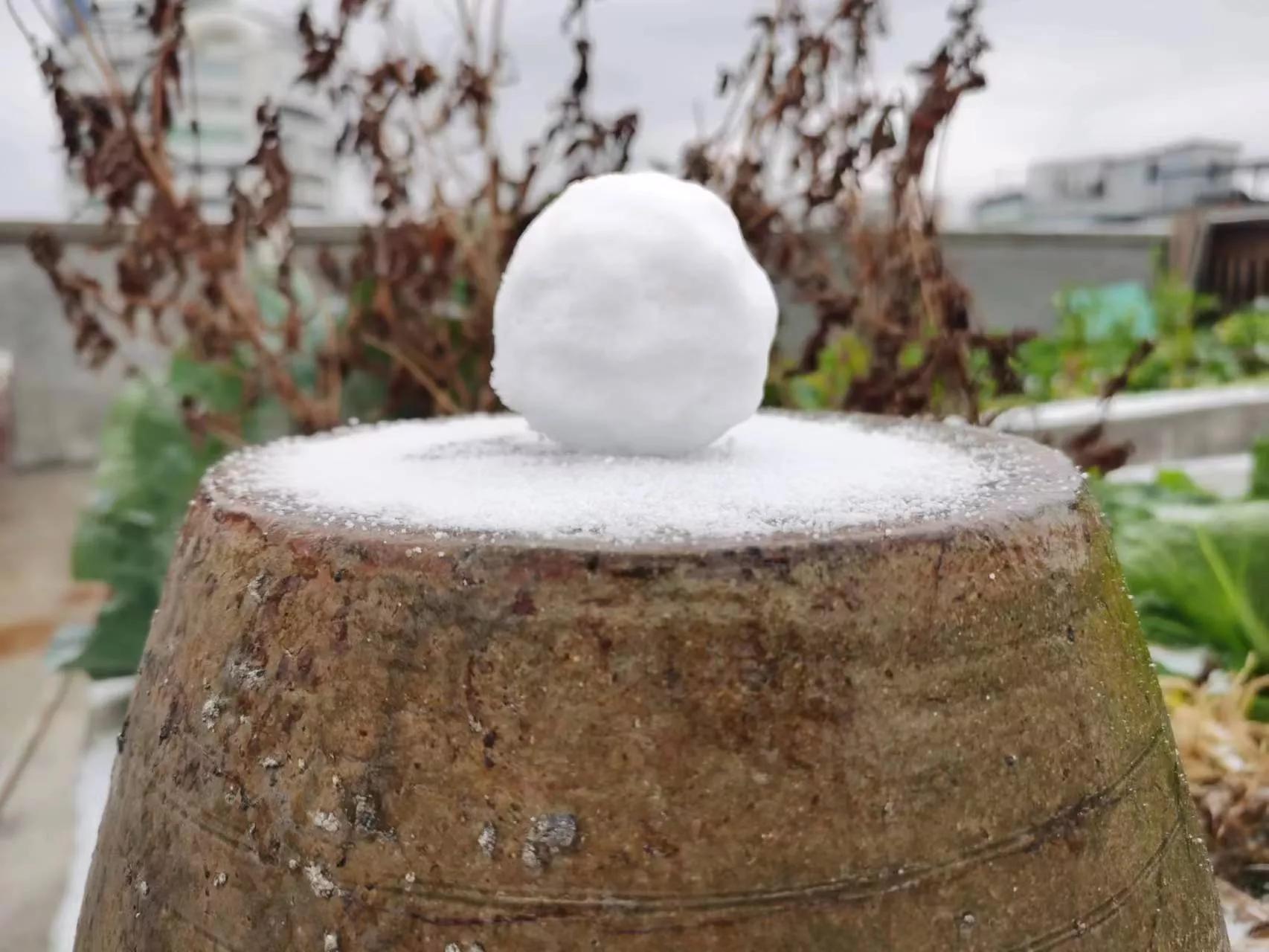 瑞雪兆丰年年货精选,瑞雪兆丰年购物