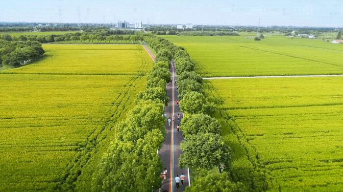 苏州周边的农村,苏州农村破房子