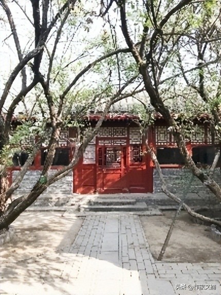 鲁迅故居门口的树,鲁迅的故居里面的树是什么