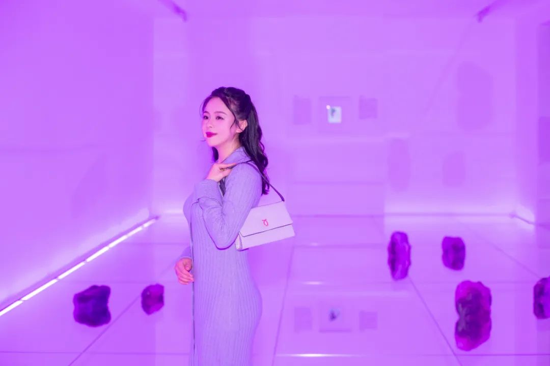 英国女王最喜欢的包包牌子,英国女王拿的包包价格