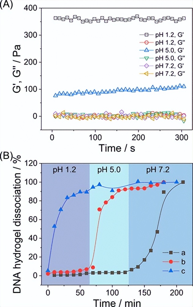 水凝胶抗菌测试标准,水凝胶抗菌试验