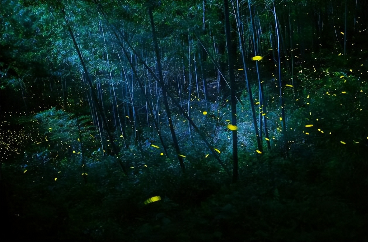 每周试玉（343）｜嘉宾【肖三羊王同兴禇宝增杨强】