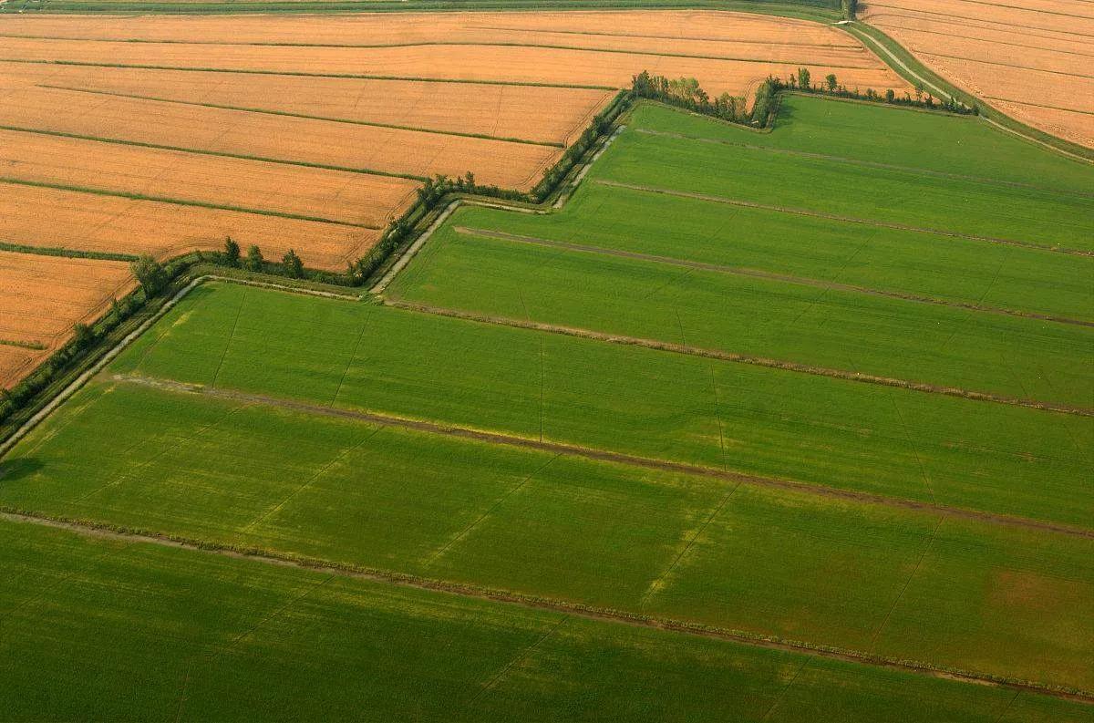 再穷不耕丈人田再穷不打亲戚工,为什么有穷死不耕丈人田的说法