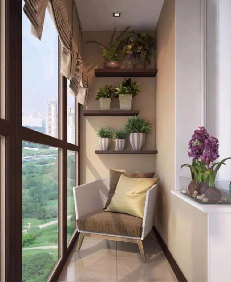 入门玄关适合摆放什么花草好看,新房装修好放什么花草好