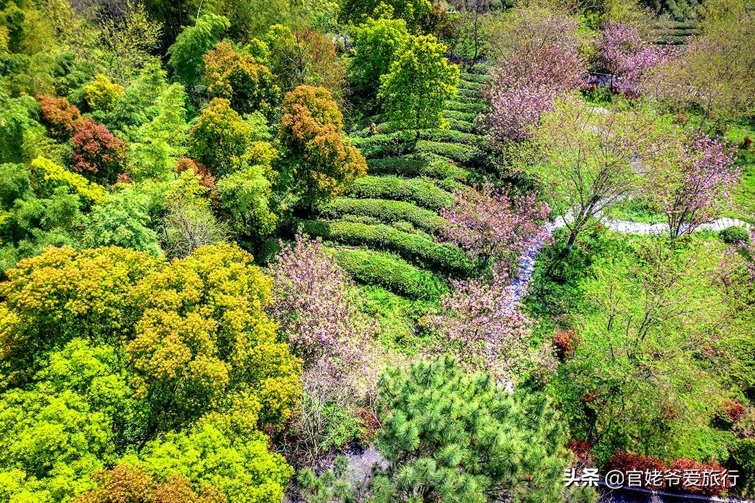 武汉黄陂茶谷风景区,武汉市黄陂区后花园