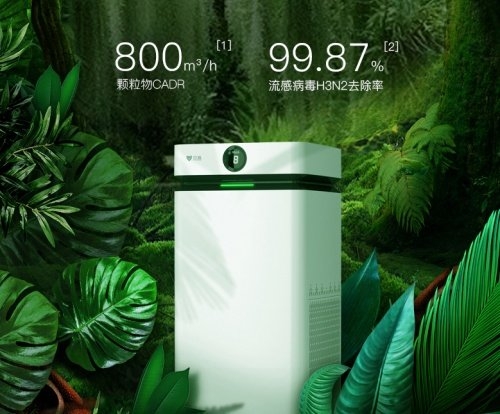 黎城新房入住除甲醛效果怎么样,新房入住除甲醛十大排名绿植