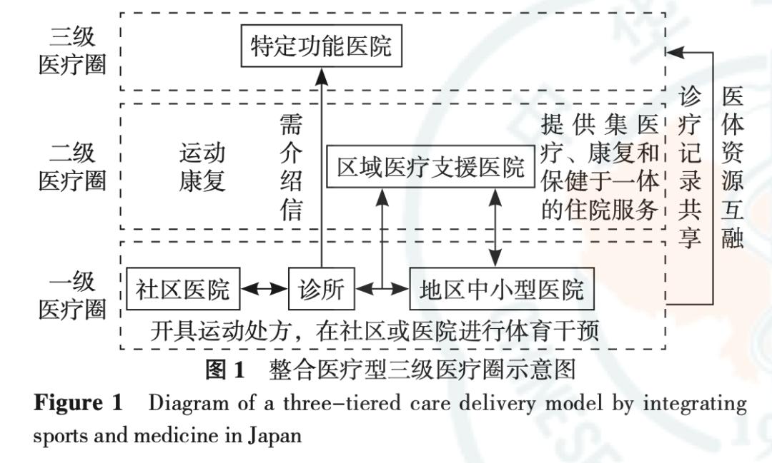 老年病的运动处方,防治和康复性运动处方