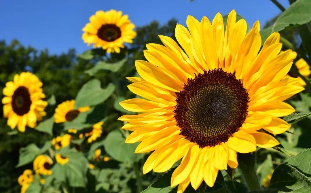 心动不如行动赶快动起来,心动不如行动教你一招