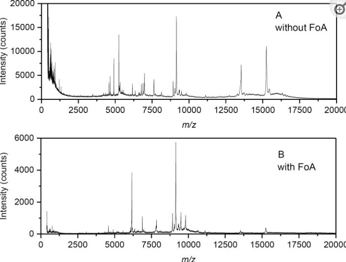 蓝藻球菌的完整细胞MALDI-TOF质谱分析，用于分类和鉴定标记蛋白