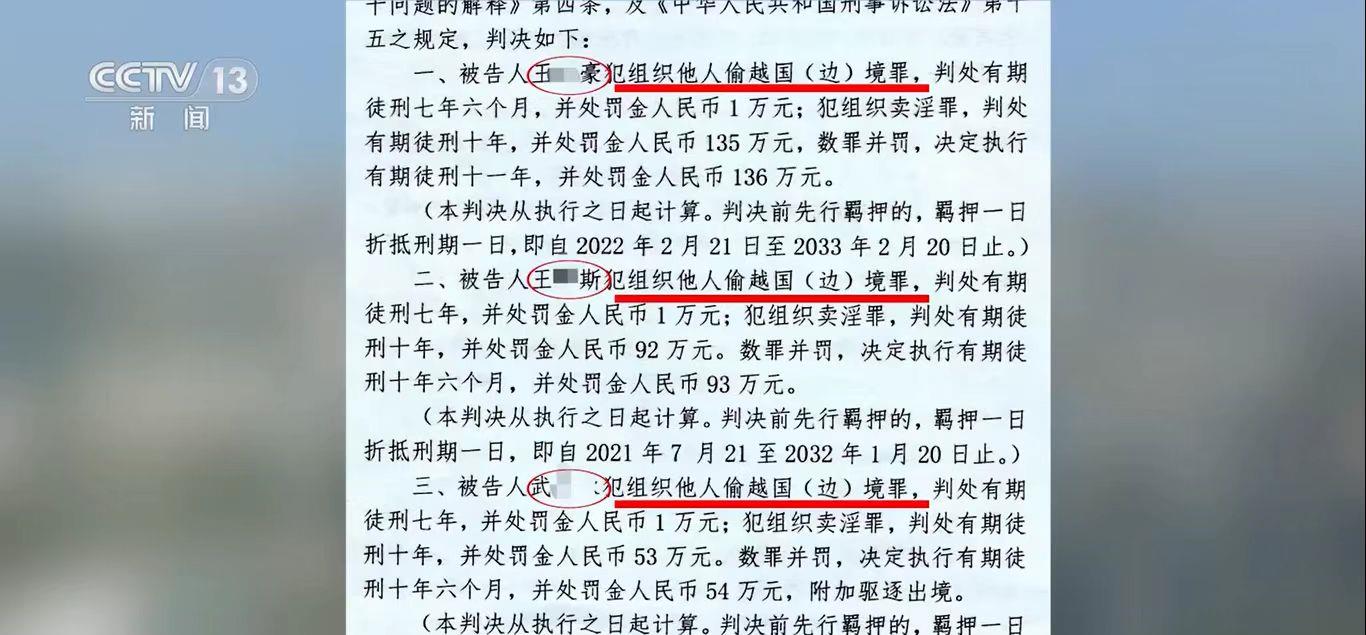 临高警方根据外籍女子所发短视频破获一起特大跨国偷渡卖淫案