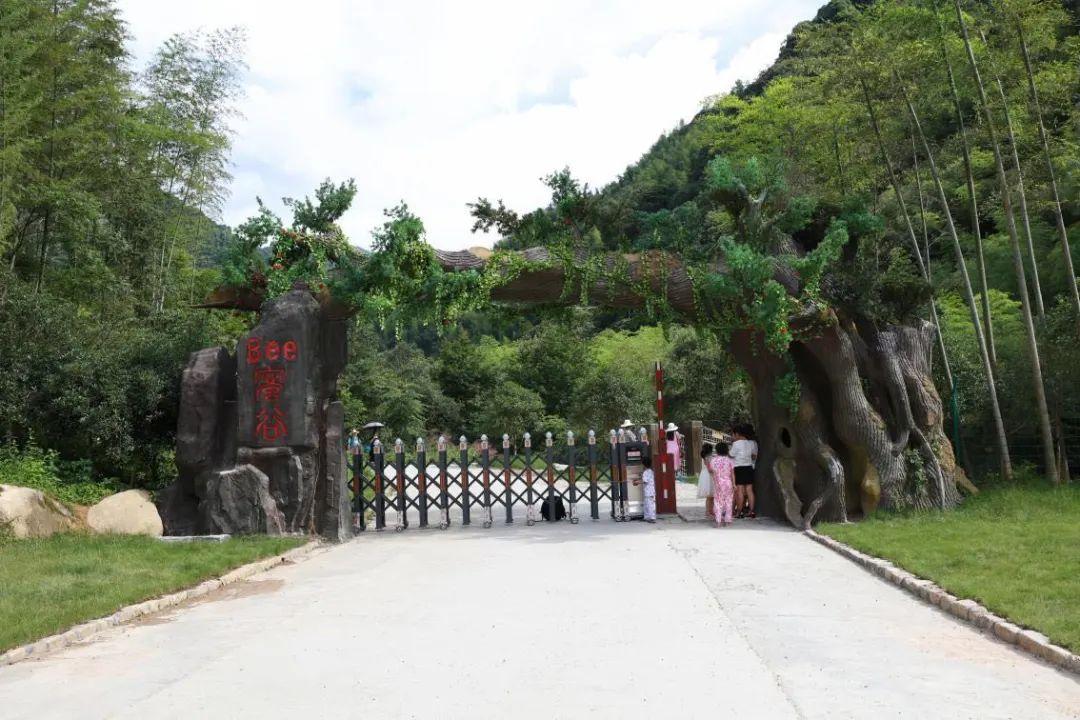 【上饶天下SHOW之广信区】中华蜜蜂谷:藏在五府山竹海密林中的蜜蜂“乐园”