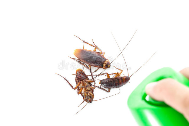 花露水的妙用价格,花露水的妙用厕所除臭