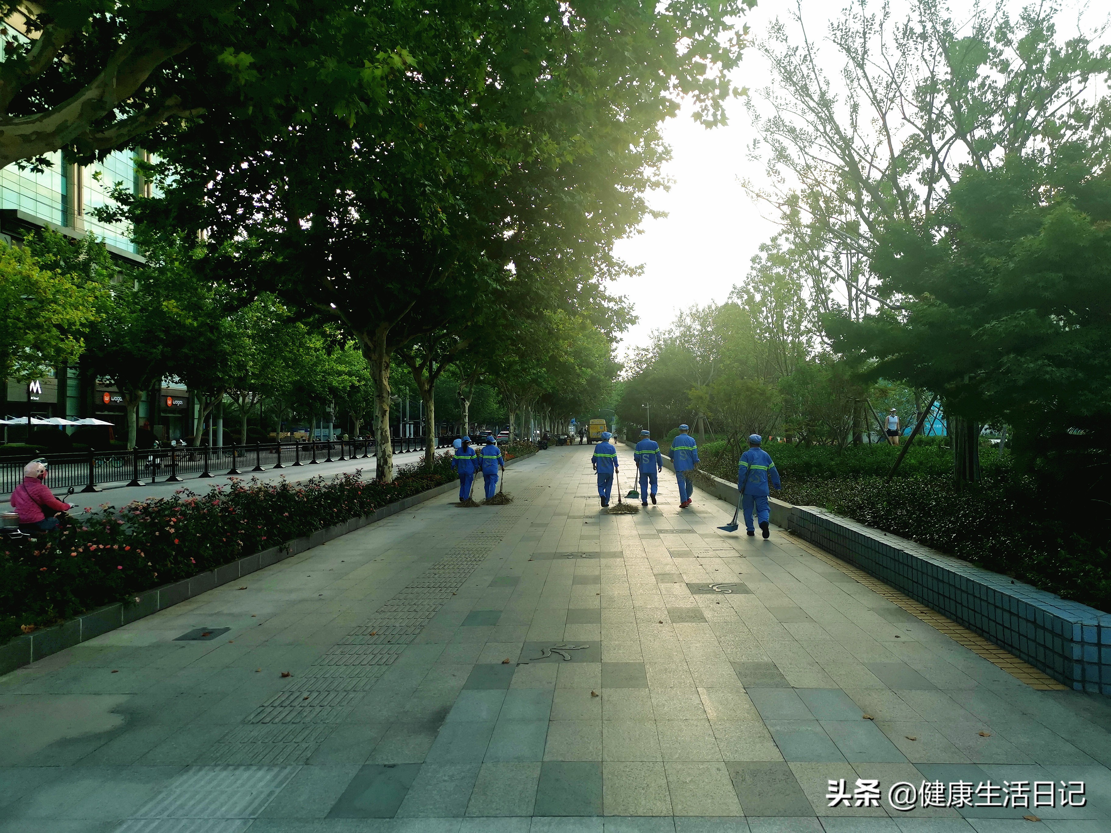 上海运动公园,上海晨练公园