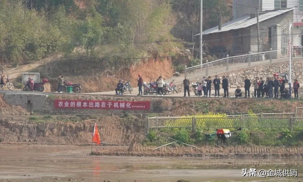 从联合到联盟：农业社会化服务力量的再整合