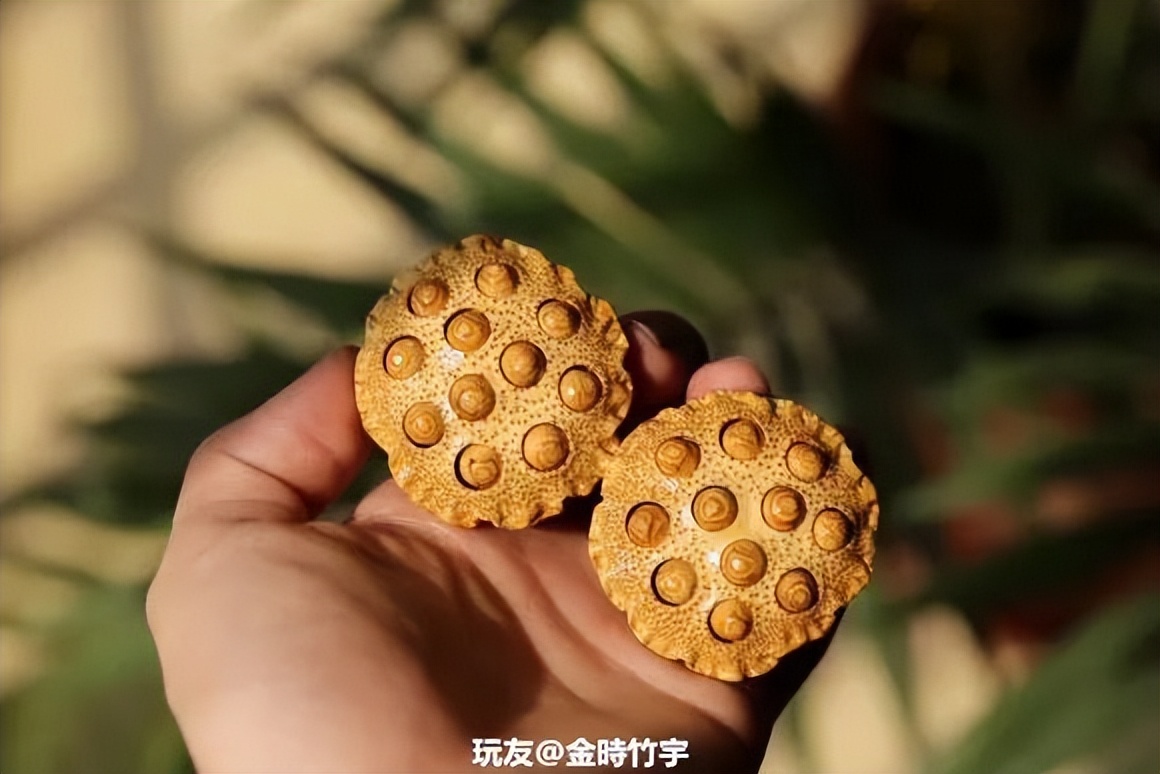 傻狍子角手把件,傻狍子的角掉了还能长出来吗