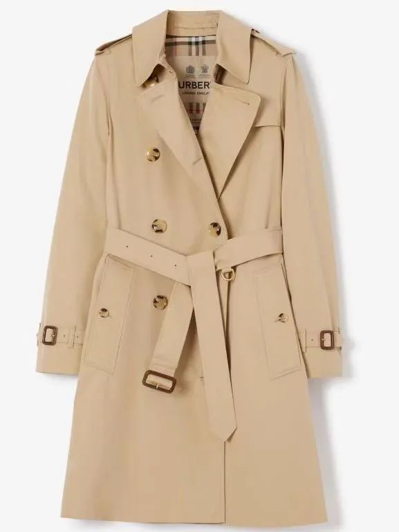 多肉花特价大清仓秒杀包邮,多肉植物满99减10爆款商品