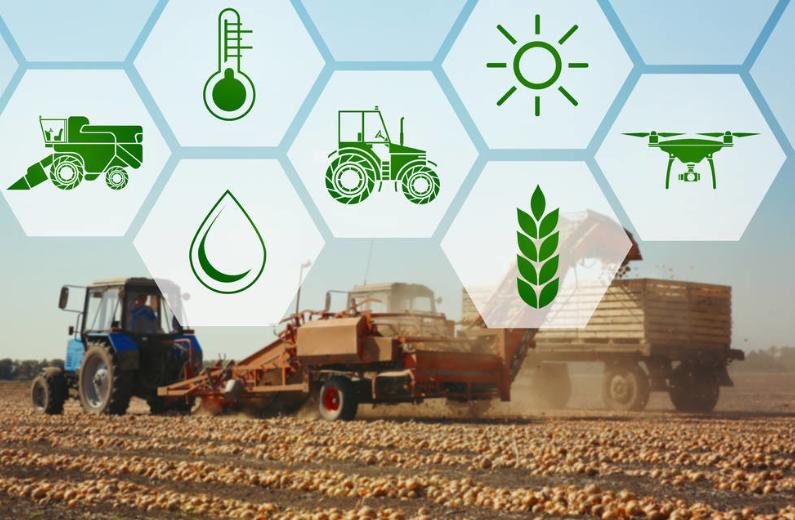 农业可持续性发展的理论与实践,农业技术创新推动农业现代化发展