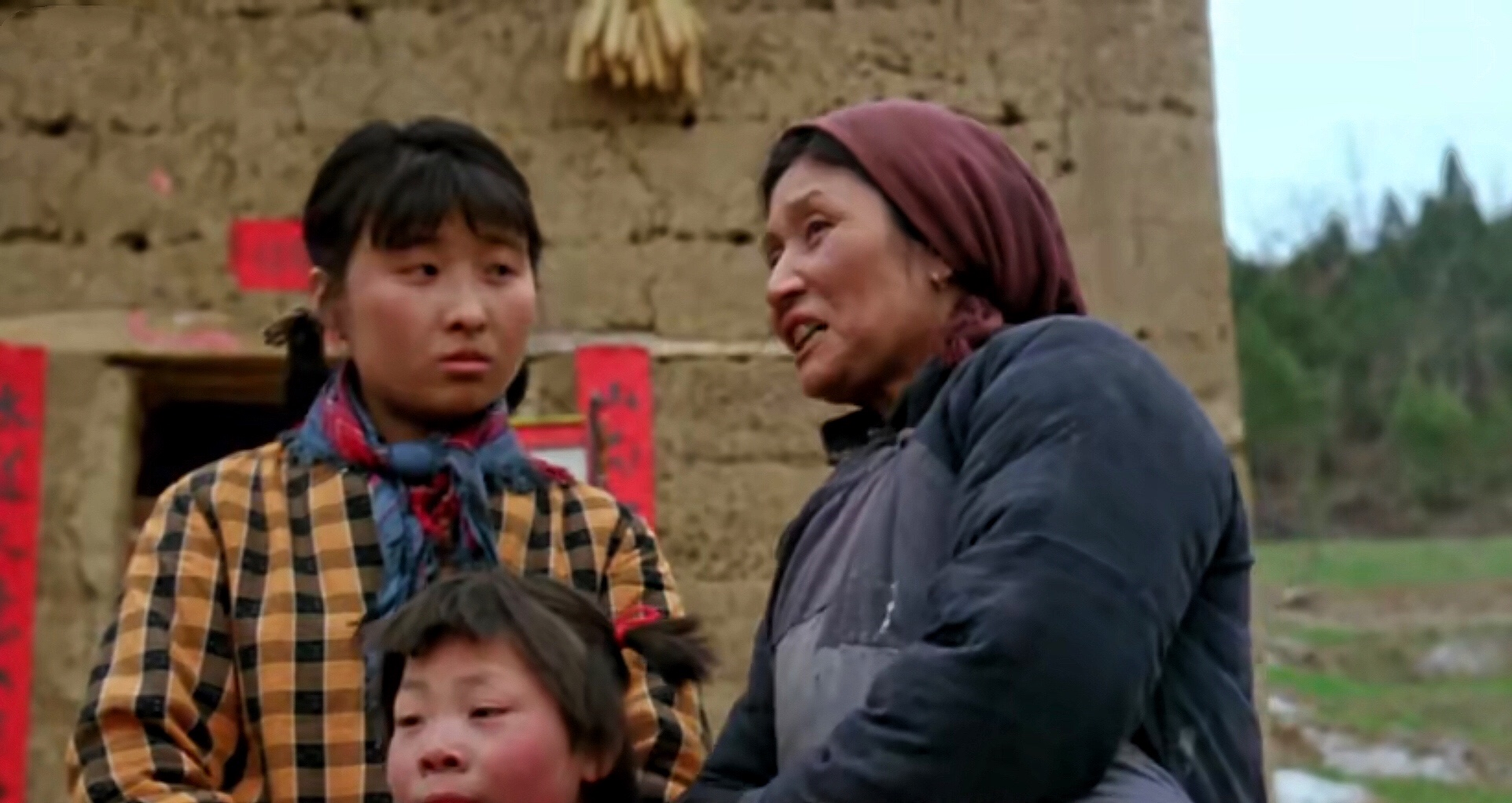 贾平凹小说鸡窝洼人家讲的什么,贾平凹与消失的乡村