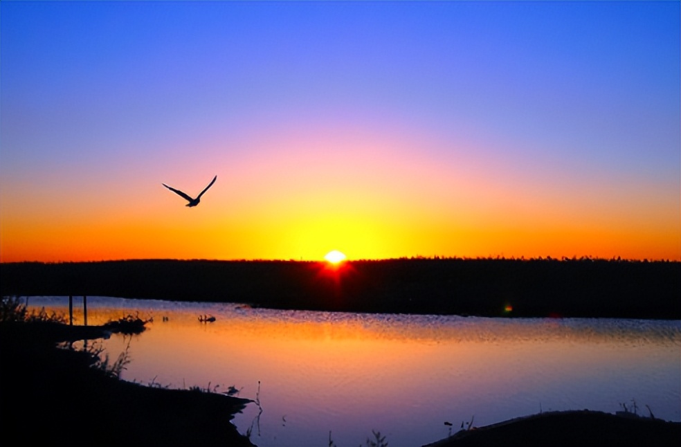 现代网络流行语用古诗词怎么说,当流行语句遇上古诗文会有多惊艳