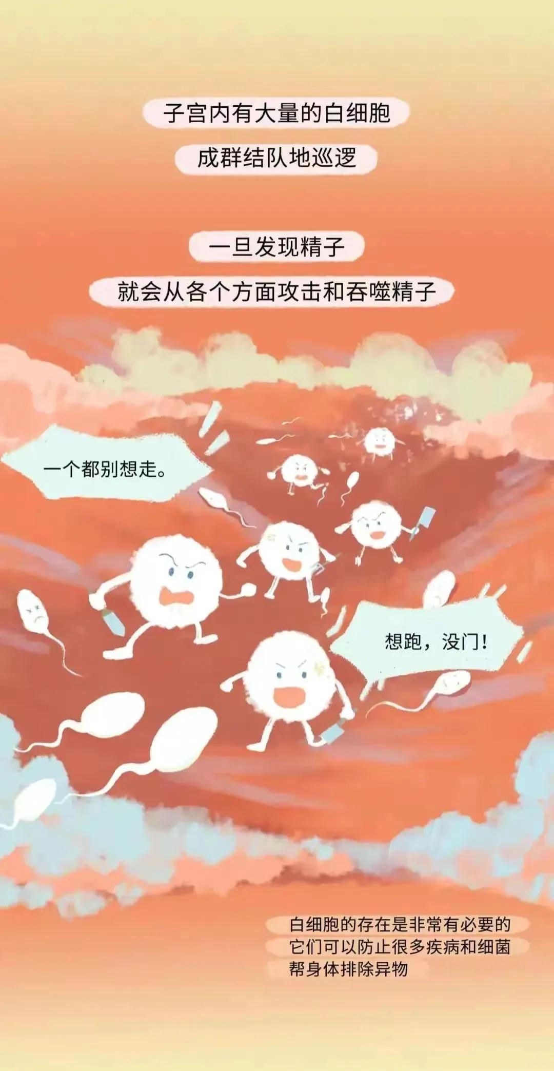 如何怀孕具体步骤图片,女人怎么怀孕的过程