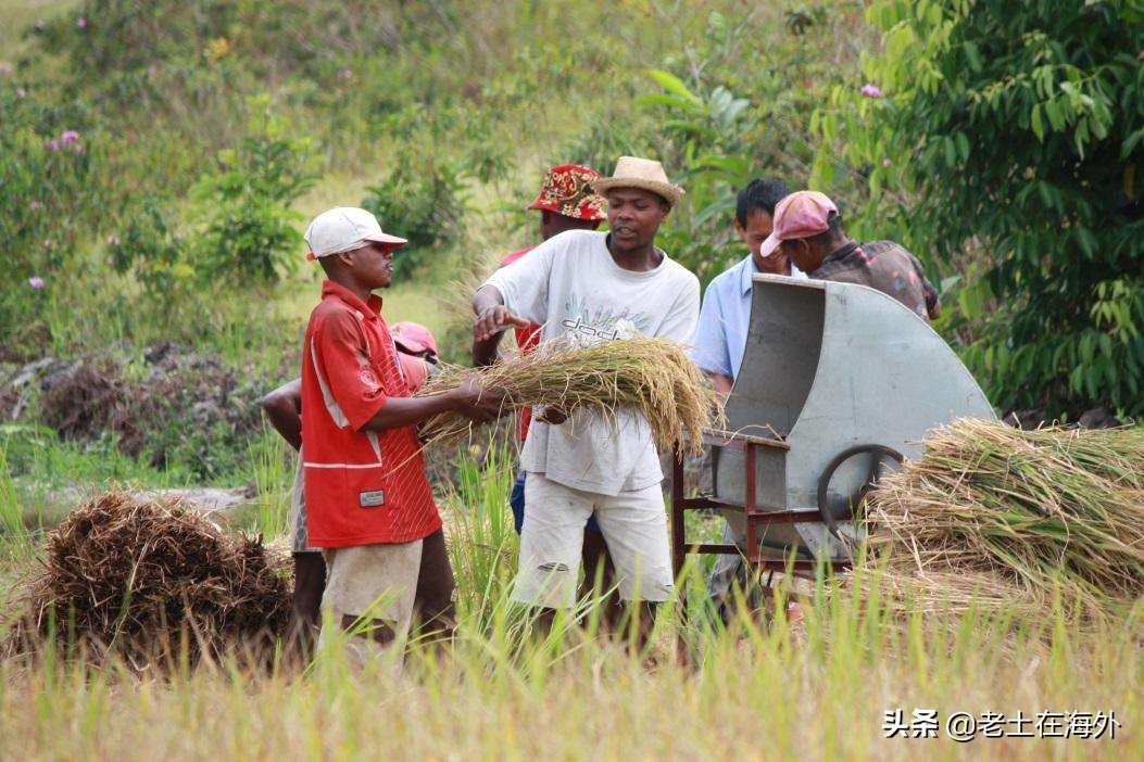乌干达中国人一个月工资多少,华人在丹麦打工一年挣多少钱