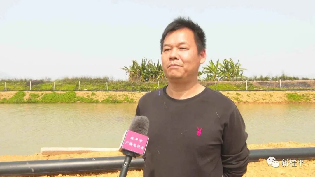 桂平：生态小龙虾错峰养殖助力乡村振兴