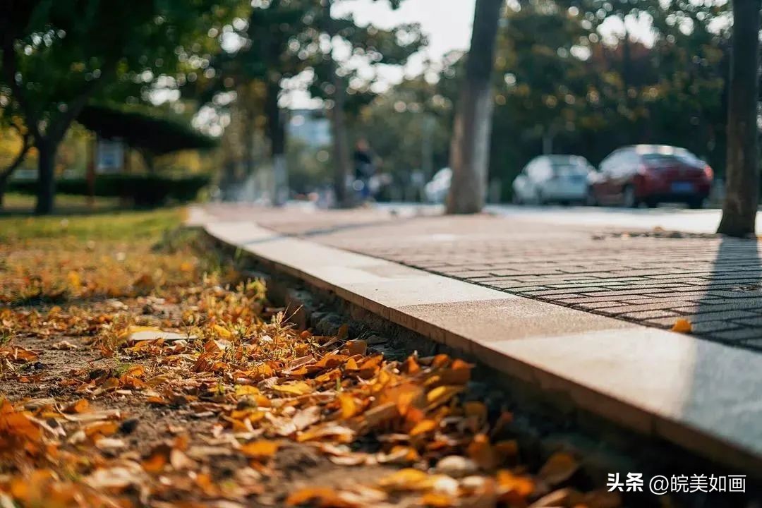 安徽大学好看的风景,高校最美秋景