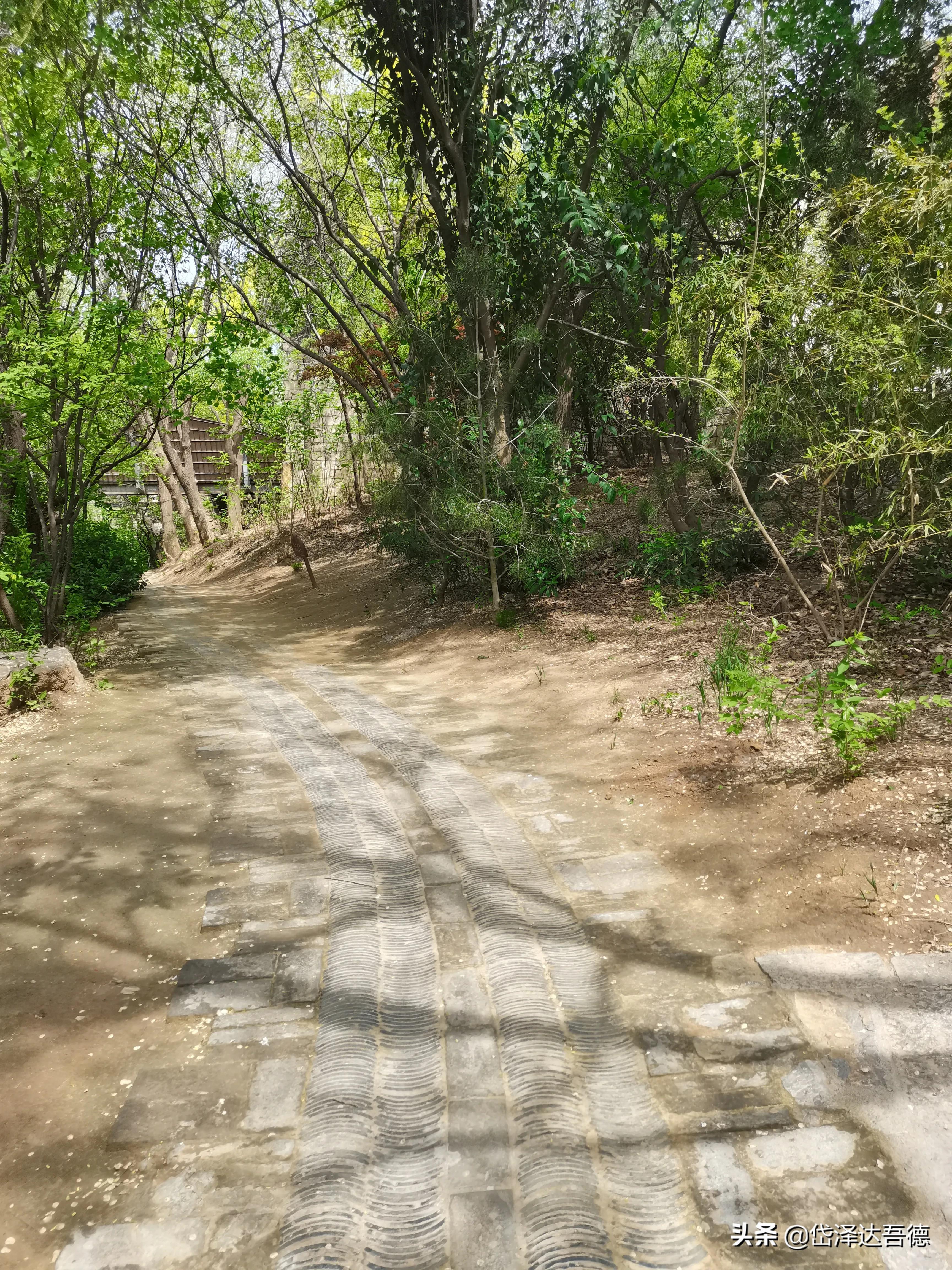 学习音乐对孩子的好处,常听音乐有什么好处