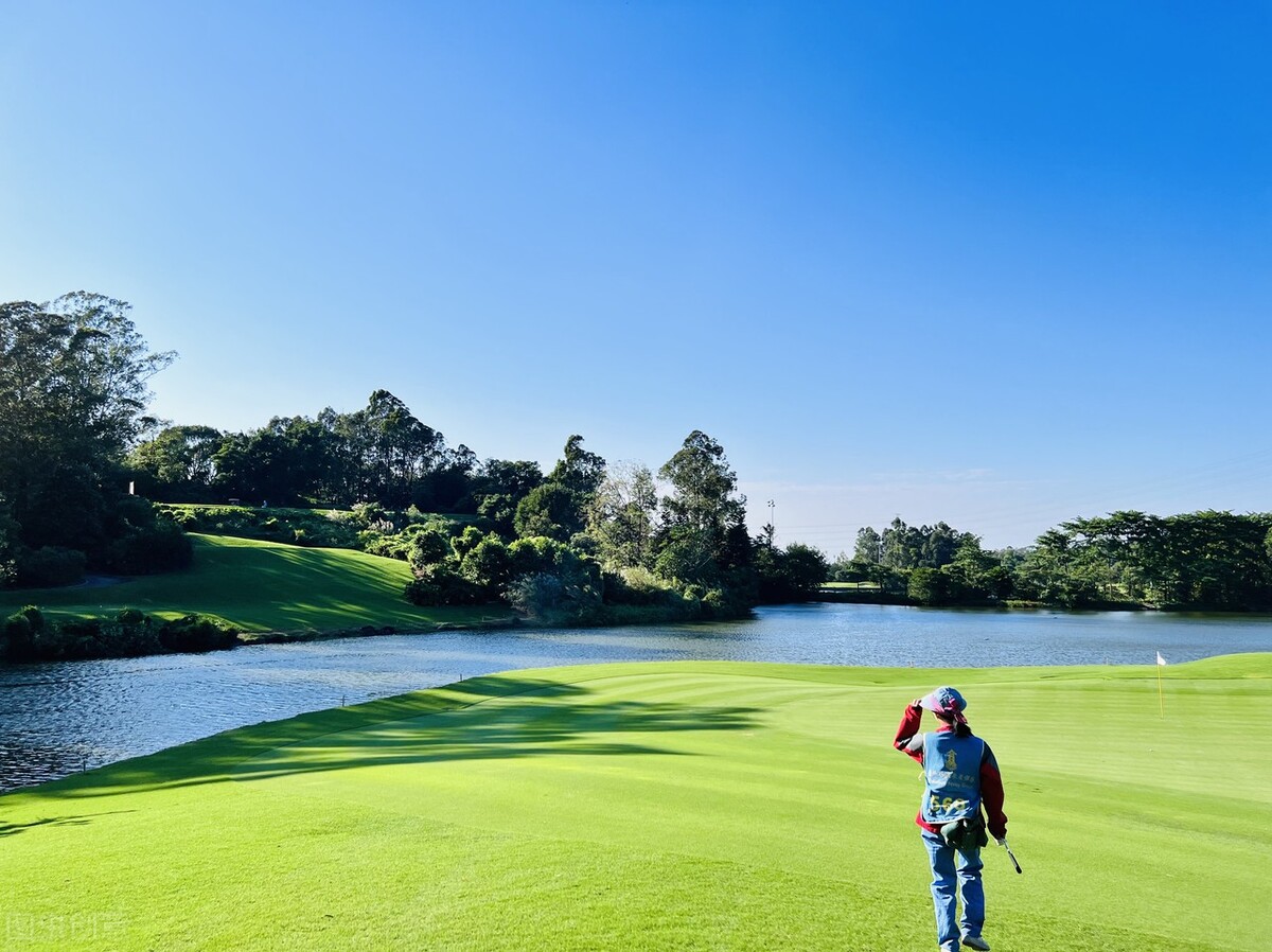 黄鼠狼光咬病鸡下一句是什么,被黄鼠狼咬死了鸡还能不能吃