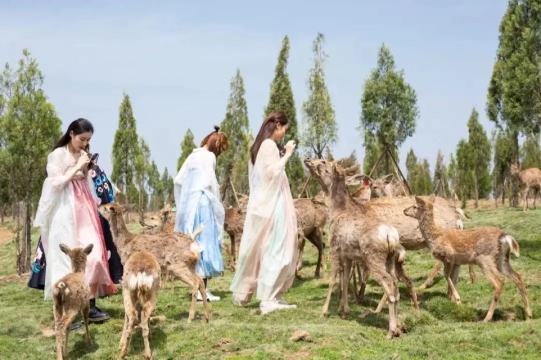 郑州方特半价免票,免票公告