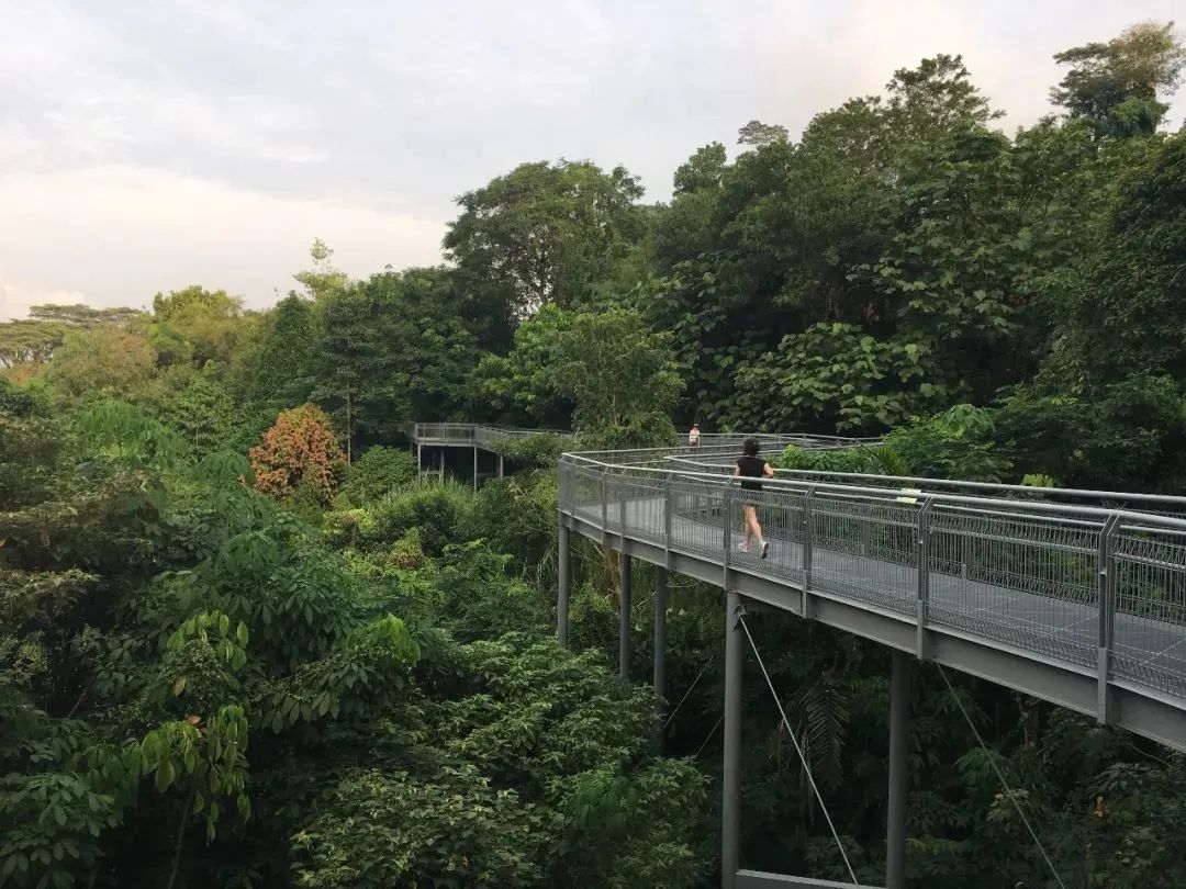 新加坡遛娃免费景点推荐一下,新加坡周末遛娃