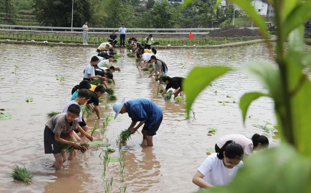 惠州市水口小学校长,龙州县水口何勇