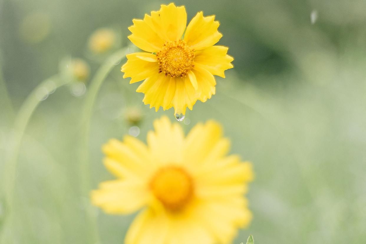 爱一个人的最高境界其实就一句话,爱一个女人的最高境界是什么