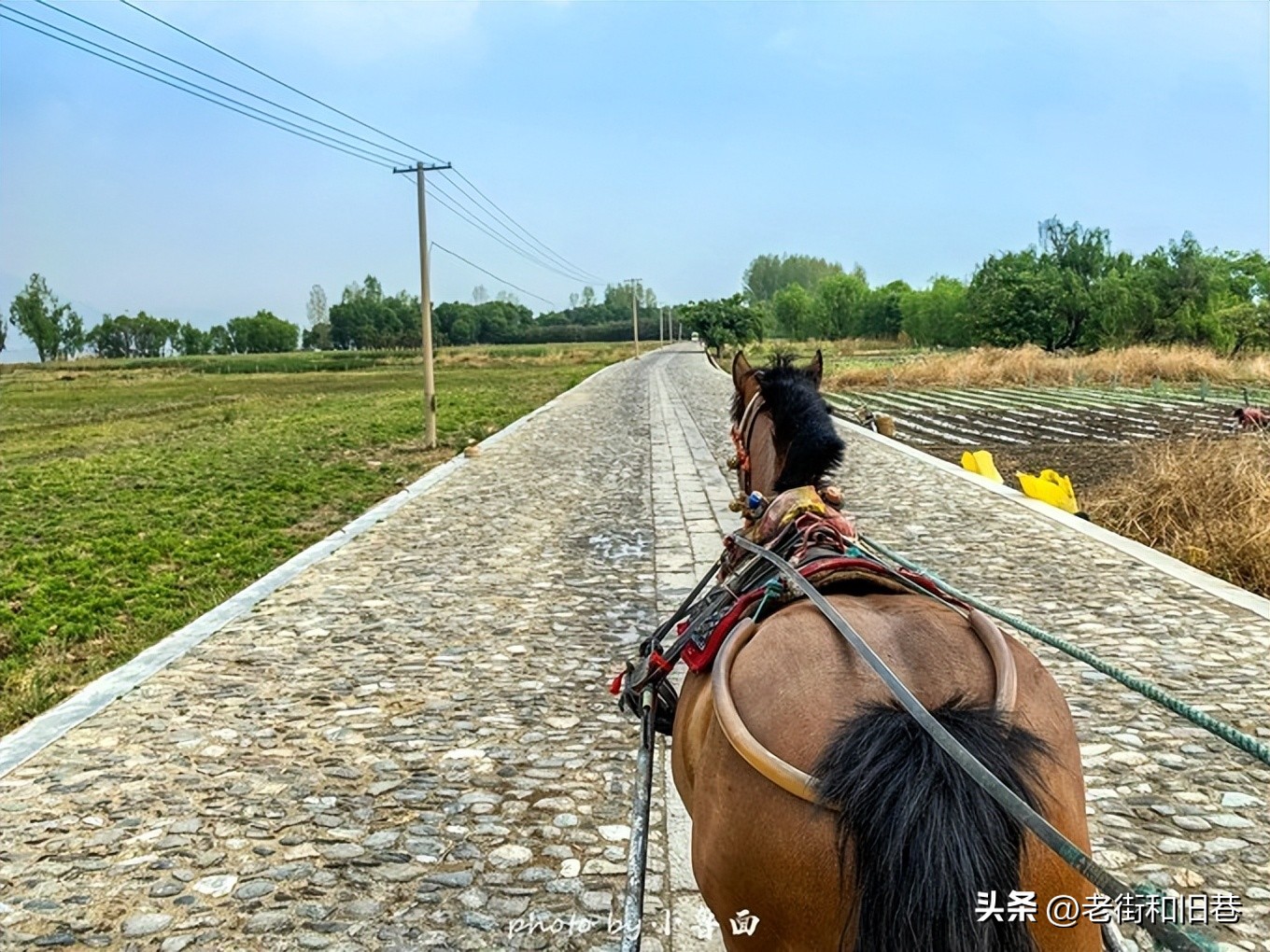 玩转云南自由行,昆明大理丽江6天5晚游多少钱