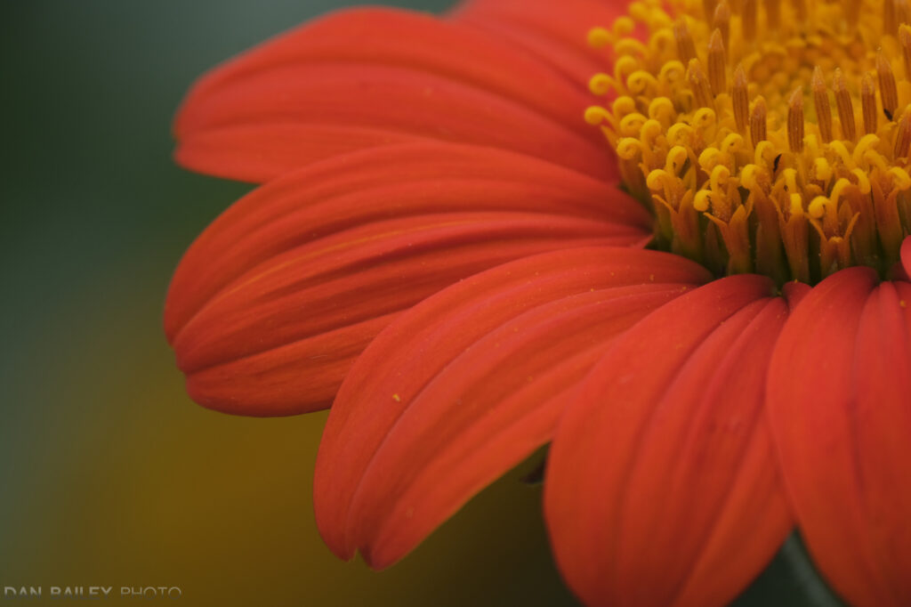 富士xf23mmf1.4镜头参数,富士xf50f2rwr镜头怎么样