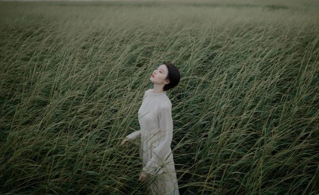 求同存异类的语文作文题目,求同存异作文