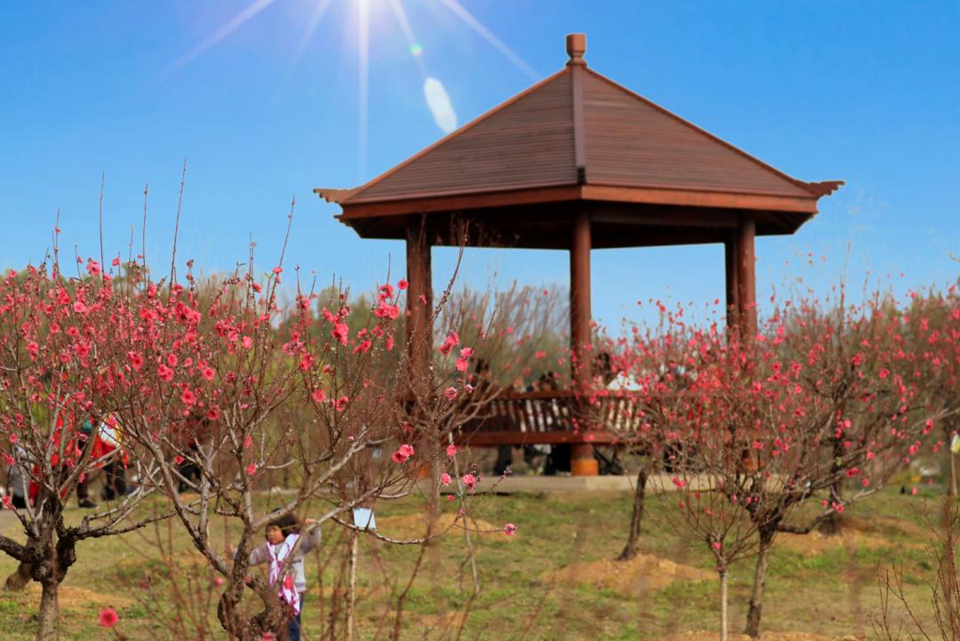 肇庆天气预报7天,肇庆未来7天天气