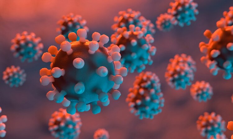 隔夜菜四种不能吃其他都能吃,隔夜菜到底能不能吃这4类太危险