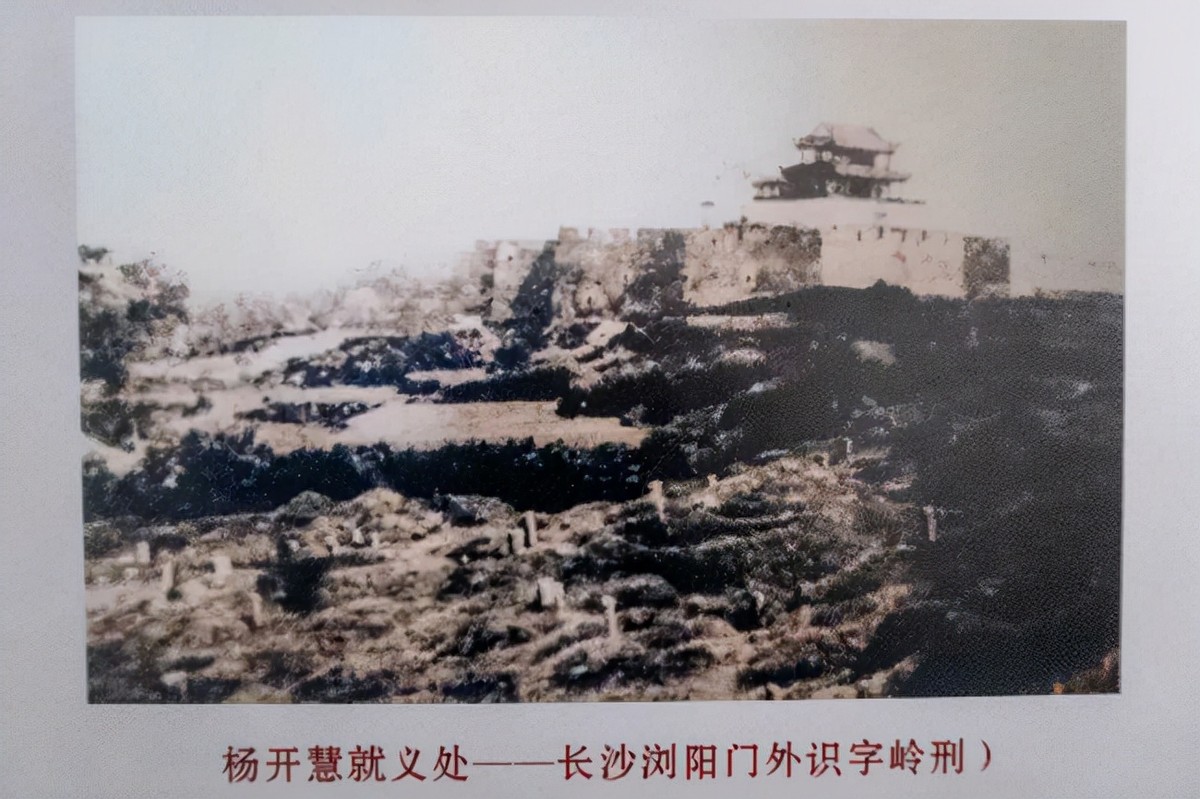 毛主席挚爱杨开慧的死亡真相,40年后才水落石出,凶手究竟是谁?