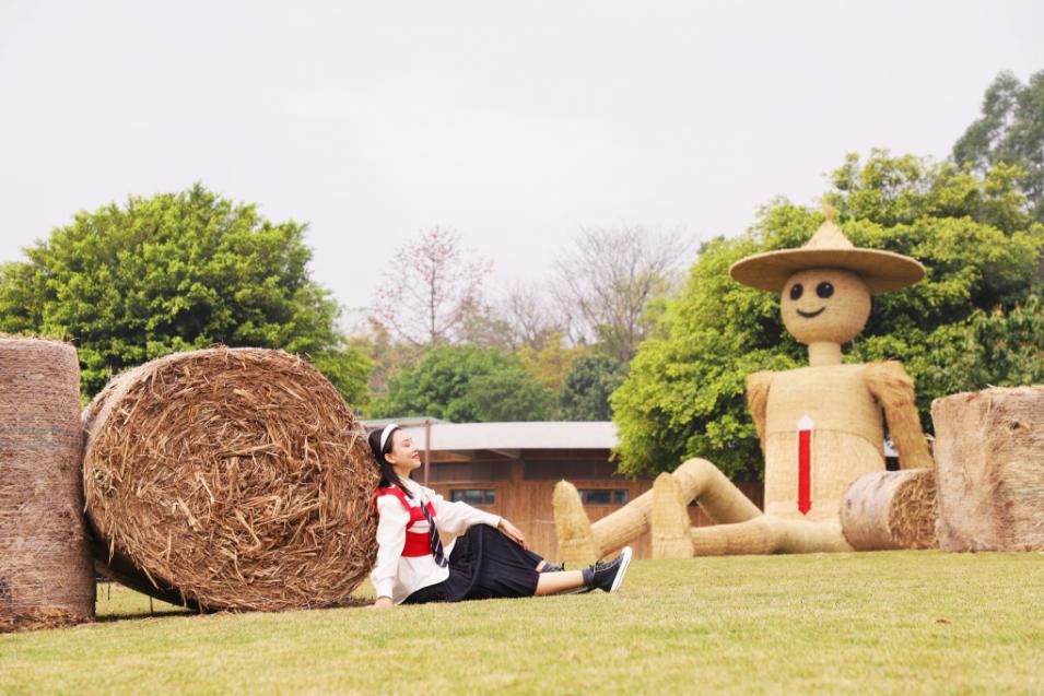 郁金香主题公园稻草人,2022年郁金香花海贵州