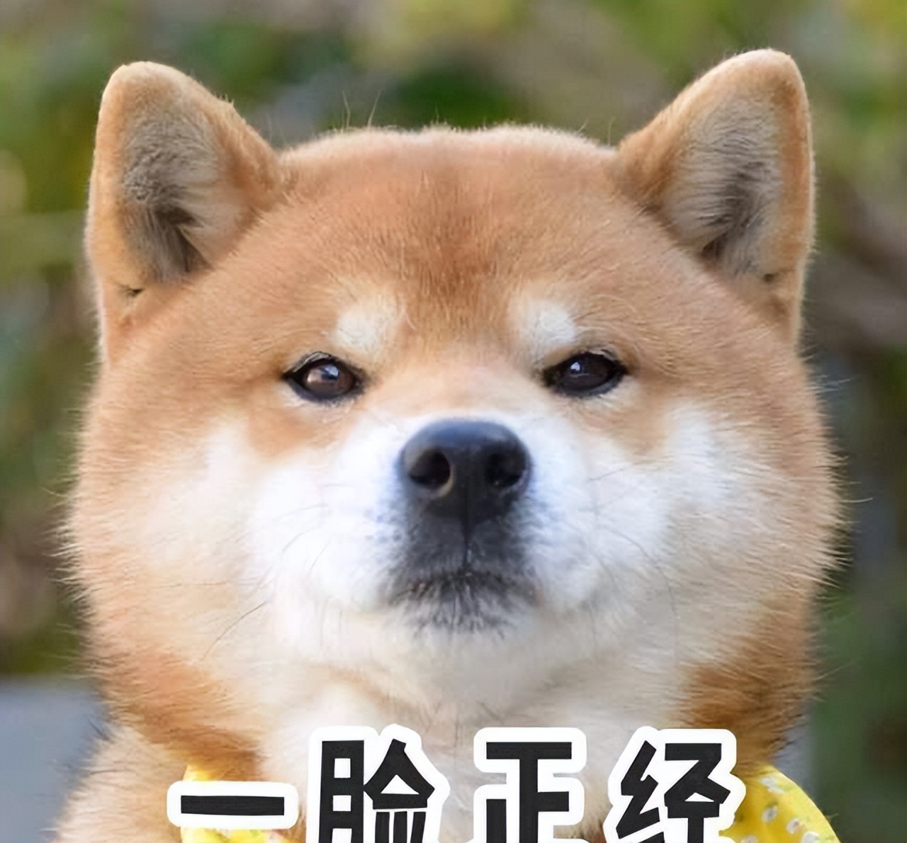 搞笑：胡说八道式拒绝法，接到推销*款贷**电话，答：不用了钱花不完