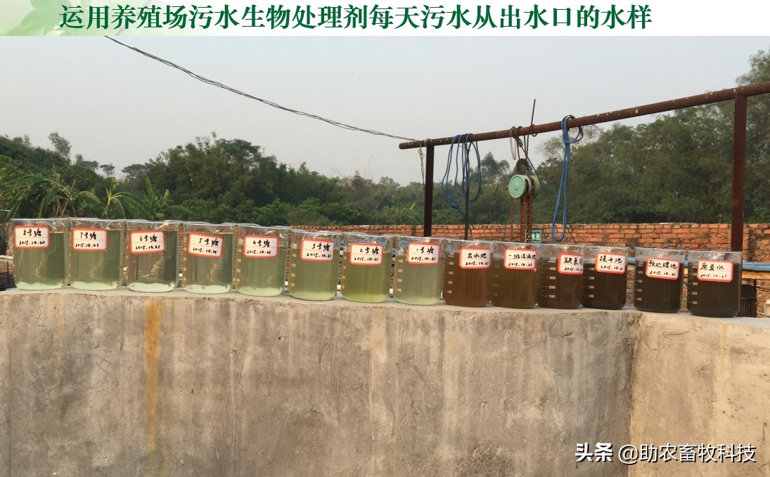 如何用生物技术解决污水处理,污水生物处理各种工艺详解