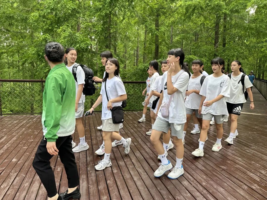 今天，台湾同胞一行23人来东台黄海森林公园