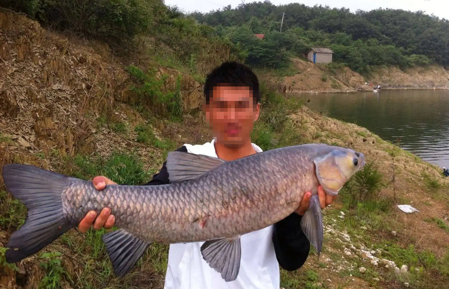 绑鱼钩的位置放在前面还是后面好,绑鱼钩时钩条粗细和线的比例