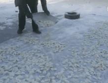 在黑河生活好吗,黑河生活真实感受