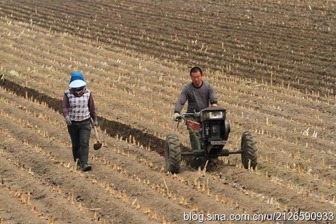 五律初冬雨,二十四节气谷雨五律